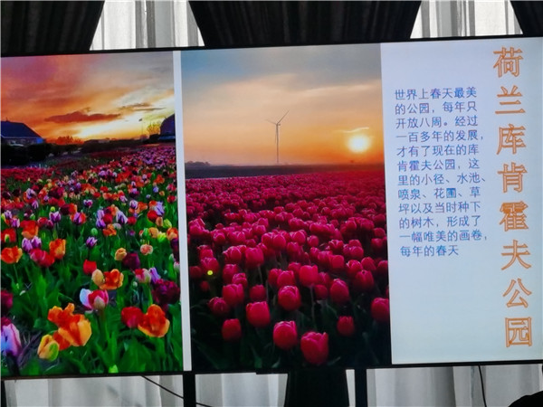 四川中青旅绵阳(yáng)分社独家定(dìng)制(zhì)圆梦欧洲系列 - 大全景 9 国 16 天(tiān) 德(dé)国-法国-瑞士-意大利-奥地利(lì)-荷(hé)兰-比利(lì)时-列支敦士登-卢(lú)森堡